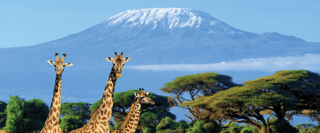 Tanzania-top-destination