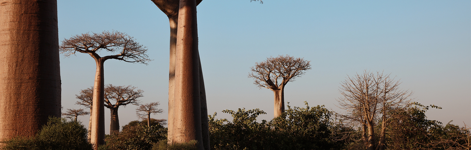 Madagascar’s Tourism Outlook: Strong Momentum and New Opportunities